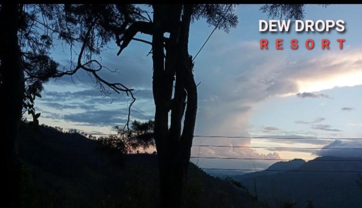 Dew Drop Resort Ella Eksteriør bilde